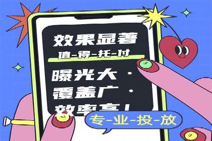 百度推广的精准定向技术案例